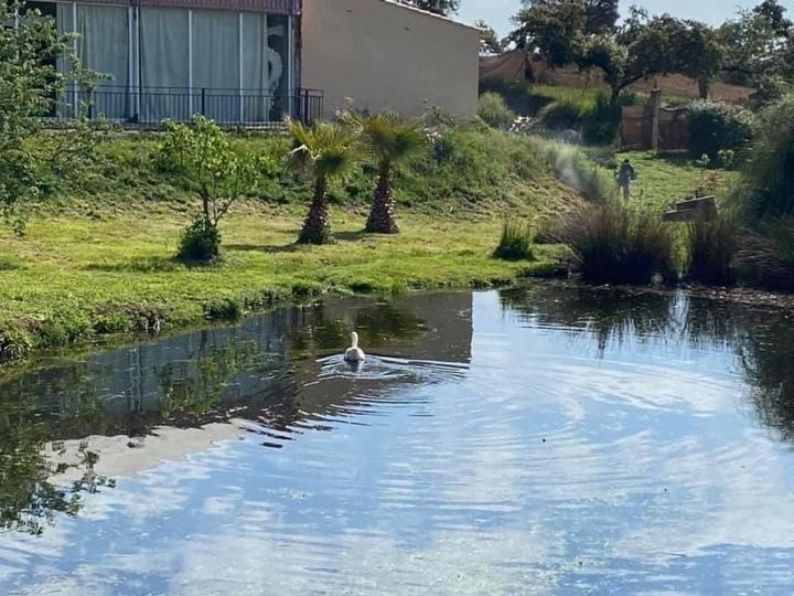 Complejo Rural El Prado Hotel Logrosán Eksteriør billede